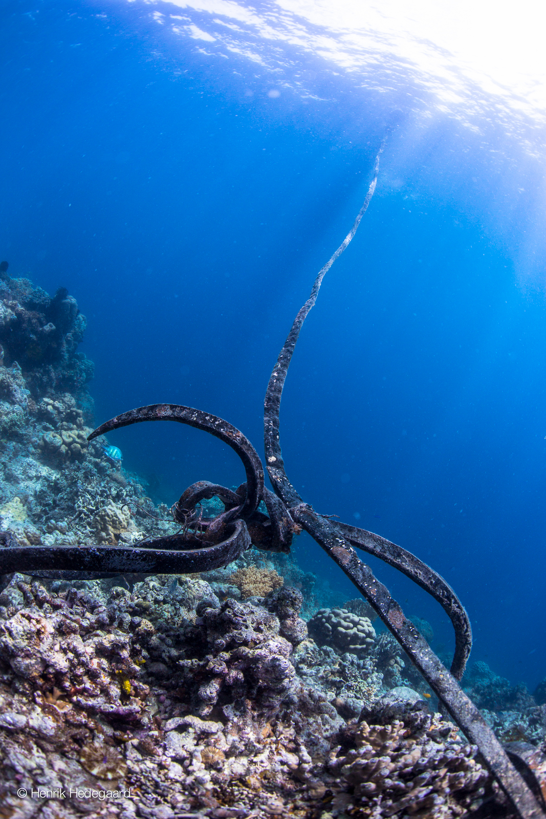 reef, bouy, moalboal, neptune