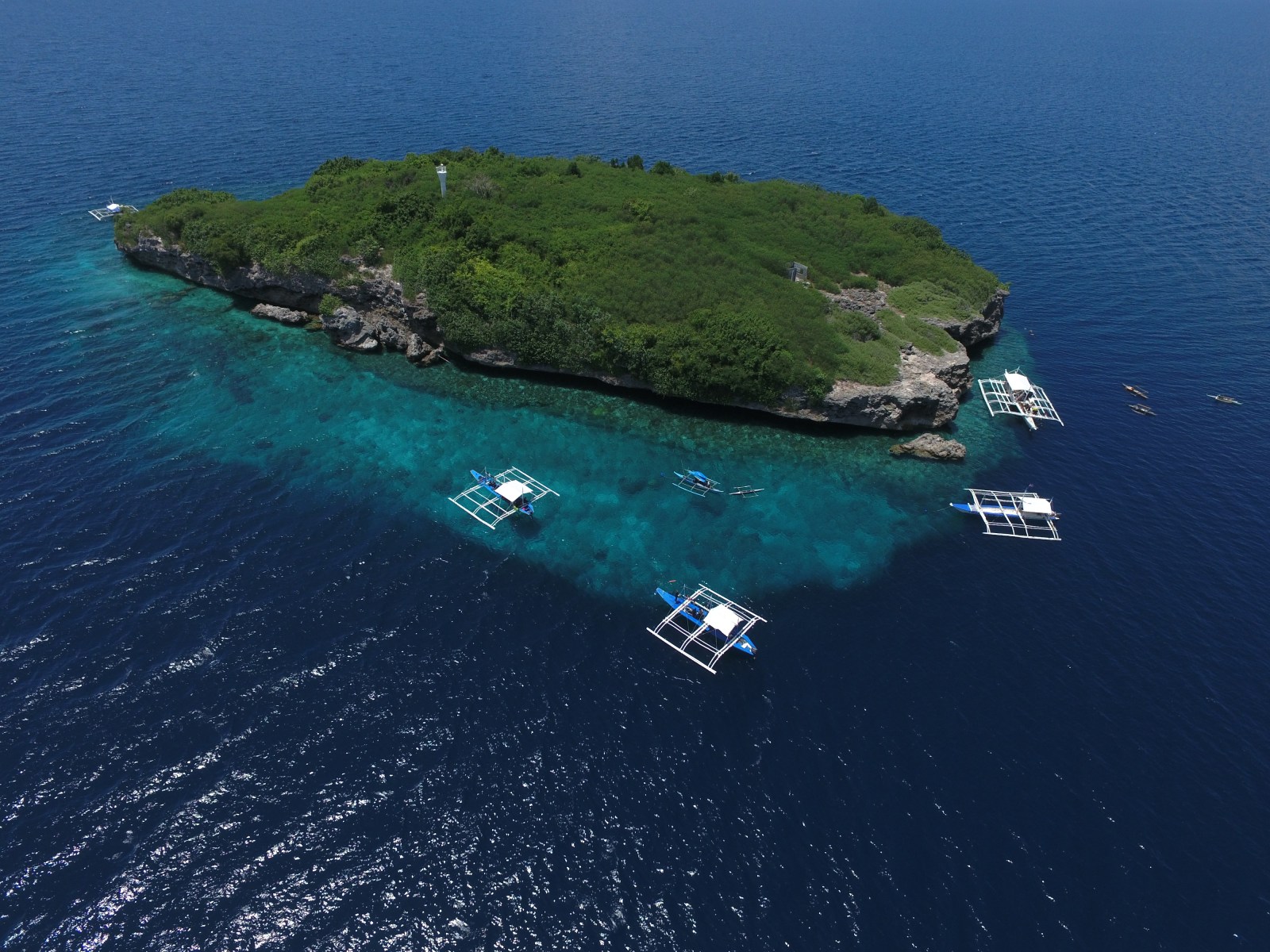 Dive Sites In Moalboal Cebu