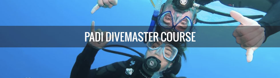 PADI Divemaster course