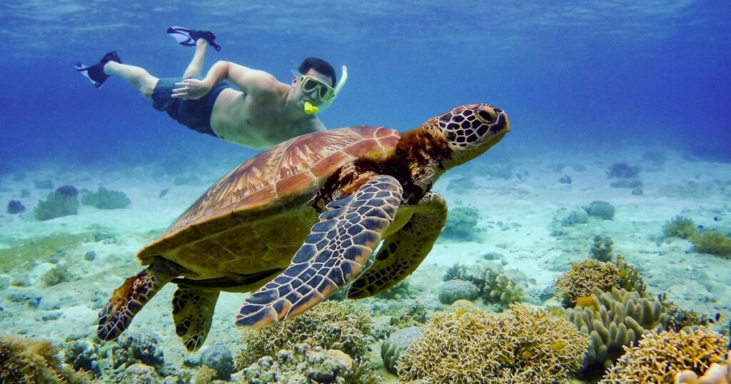 snorkelingsantander